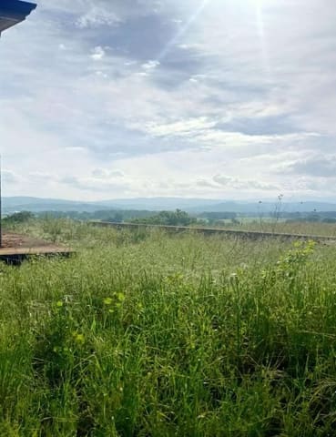 Foto del lotto 5