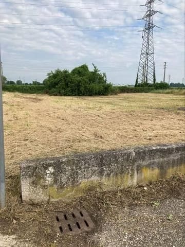 Photo of the lot 1
