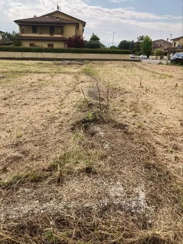 Photo of the lot 2
