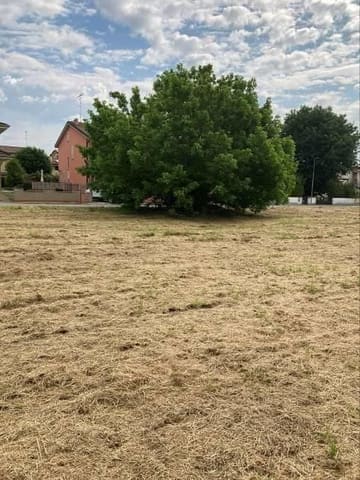 Photo of the lot 1