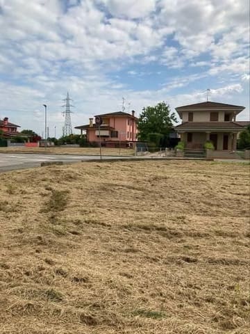 Photo of the lot 3