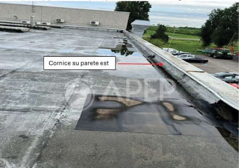 Foto del lotto 3