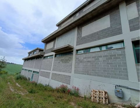 Photo of the lot 2