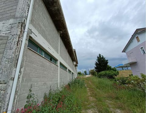 Photo of the lot 3