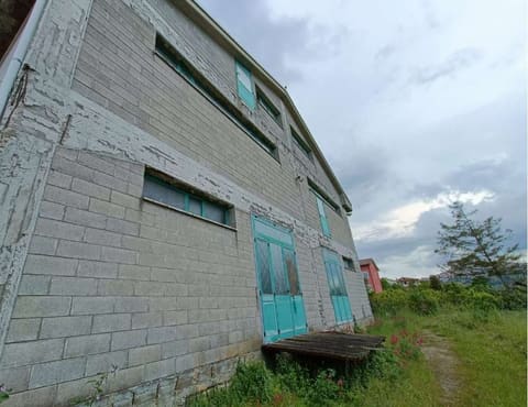 Photo of the lot 5