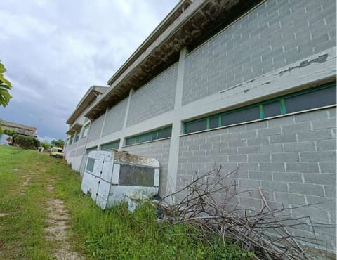 Photo of the lot 6