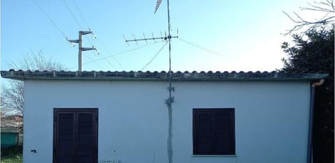 Photo of the lot 2