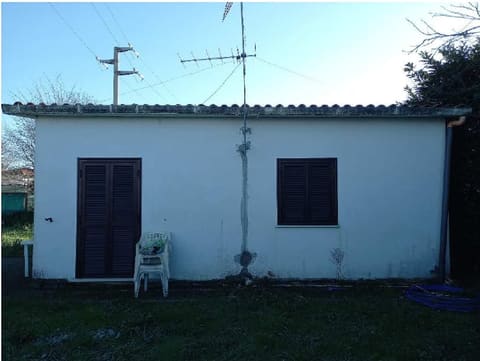 Photo of the lot 3