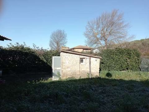 Photo of the lot 8
