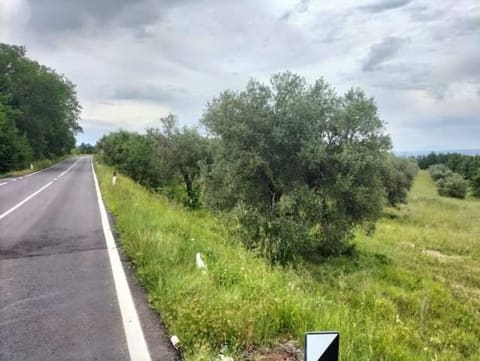 Foto del lotto 6
