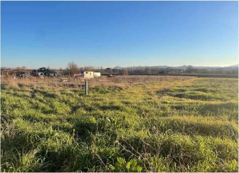Photo: Altra categoria in Sinalunga (SI)