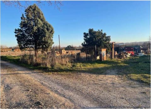 Photo of the lot 2