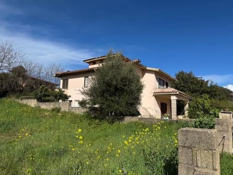 Photo of the lot 2