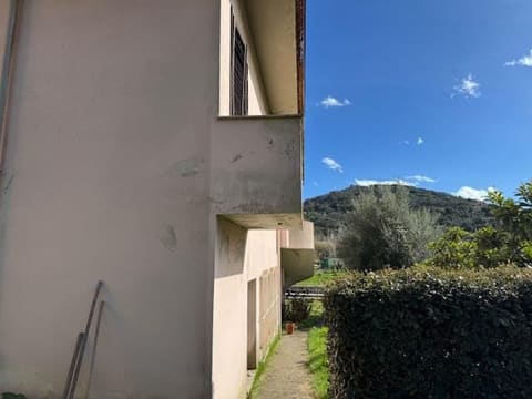 Photo of the lot 3