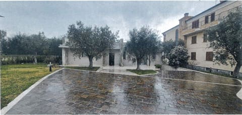 Photo of the lot 2