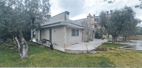 Photo of the lot 3