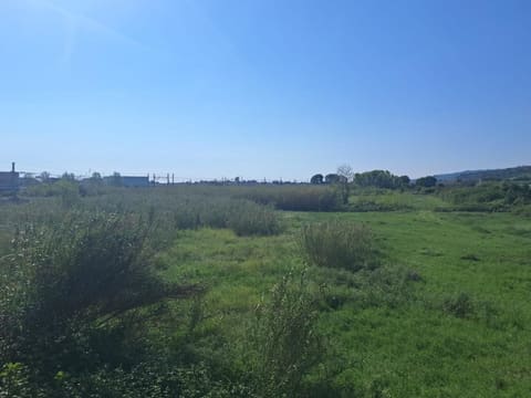 Photo: Altra categoria in Martinsicuro (TE)