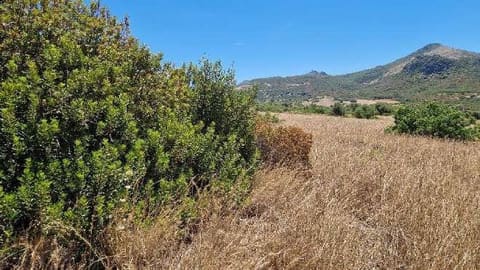 Photo: Altra categoria in Carbonia (CI)