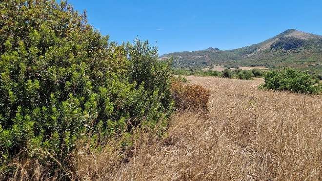 Photo of the lot: Altra categoria in Carbonia