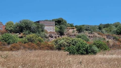 Photo of the lot 2