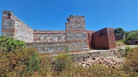 Photo of the lot 3