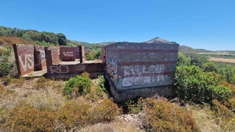 Photo of the lot 4