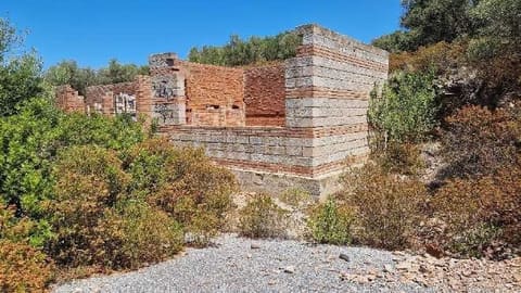 Photo of the lot 5