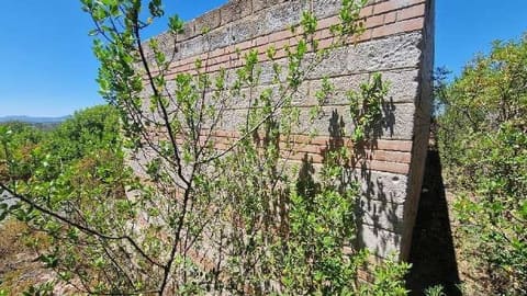 Photo of the lot 6