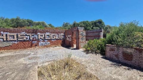 Photo of the lot 7