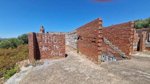 Photo of the lot 8