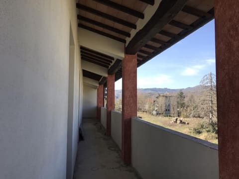 Photo of the lot 8