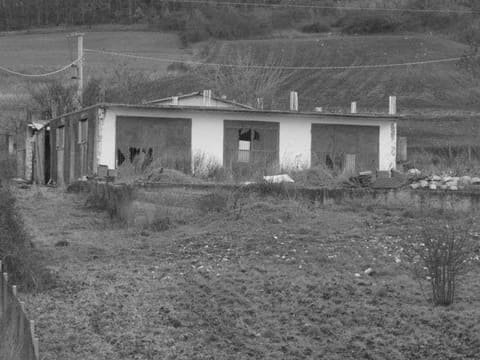 Photo of the lot 4