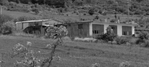 Photo of the lot 5