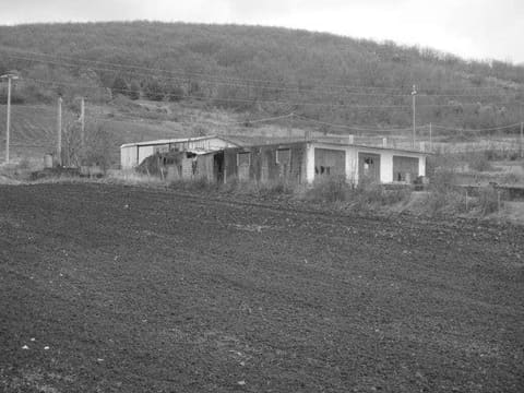 Photo of the lot 6