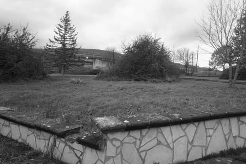 Photo of the lot 8