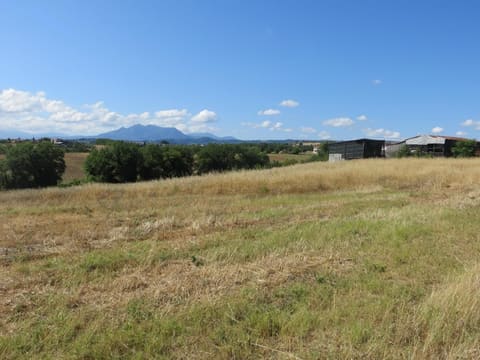 Photo: Altra categoria in Calvi (BN)