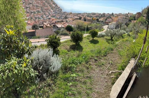 Photo of the lot 2