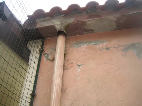 Foto del lotto 4