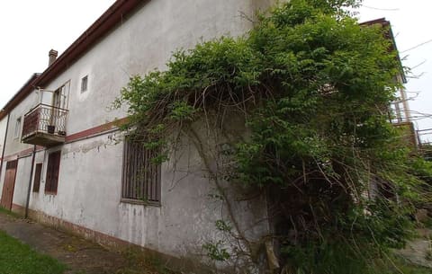 Photo of the lot 1