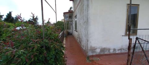 Photo of the lot 2
