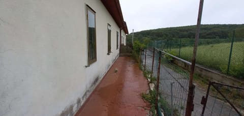 Photo of the lot 3
