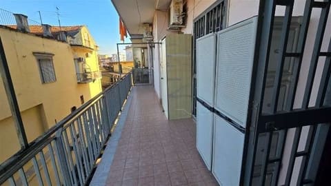 Photo of the lot 2