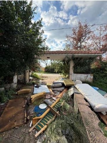 Photo of the lot 3