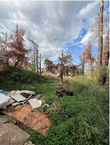 Photo of the lot 5