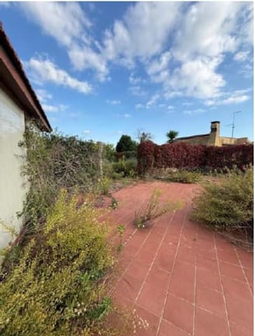 Photo of the lot 8