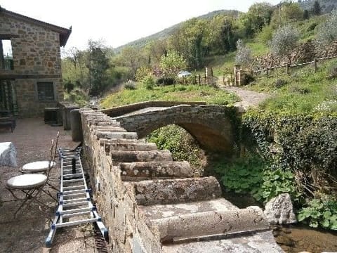 Photo: Immobile residenziale in Greve in Chianti (FI)