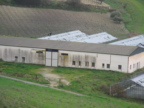 Photo: Altra categoria in Licata (AG)