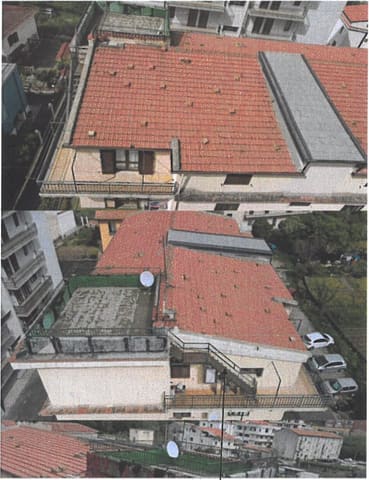 Photo of the lot 3