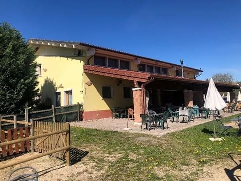 Photo of the lot 2
