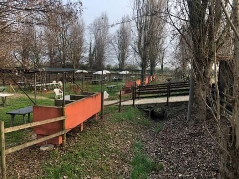 Photo of the lot 4
